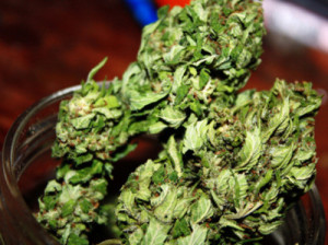dope, drugs, hash, marijuana, weed