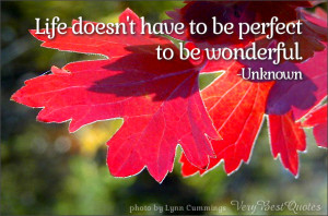 ... quotes, Life doesn't have to be perfect to be wonderful.-Unknown