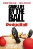 Dodgeball: A True Underdog Story (2004) Poster