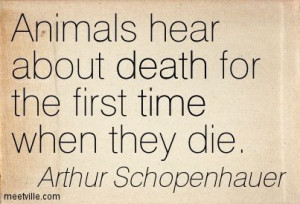 Schopenhauer Quotes Animals Photos | Arthur Schopenhauer : Animals ...