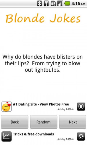 Blonde Jokes! - screenshot