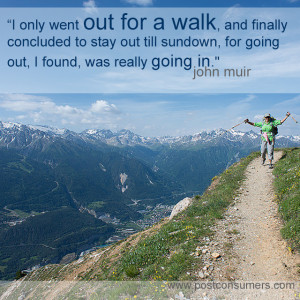 Favorite John Muir Quotes: The Universe and the Forest