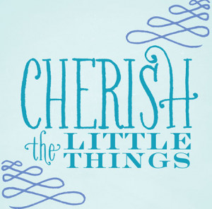 Quote of the Day {Cherish the little Things}