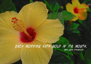 Hawaiian Sunrise Quote Photograph