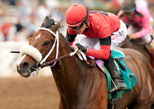 TIZNOW STAKES QUOTES