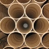 discernment look like in a person? (0 responses) What does discernment ...