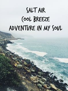 Surf quotes and inspirations