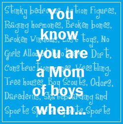 so moms of boys here we go you know you are a mom of boys when