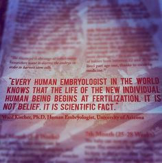Fertility Quotes