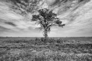 Calm, insightful and wise beyond their years , the Old Soul perceives ...