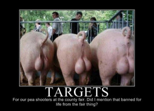 Targets For Our Pea Shooters At The County Fair