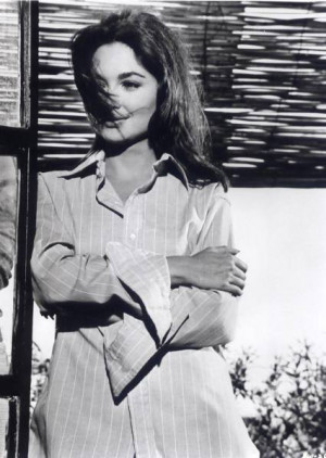 Previous | Back to Gallery3 |