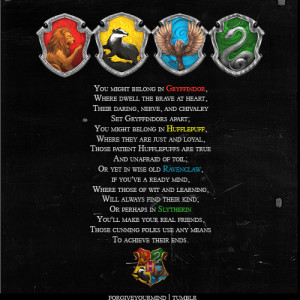The Sorting Hat - hogwarts-houses Photo