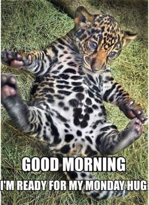 Share these and help everyone start out their Monday with a laugh, a ...