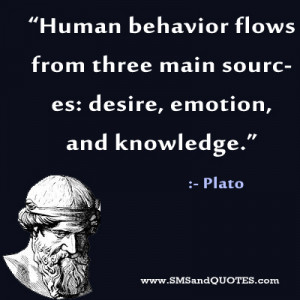 Human Behavior Flows