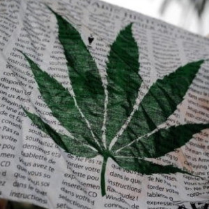 Related Pictures stoner quotes stoner quotes minneapolis branch office ...