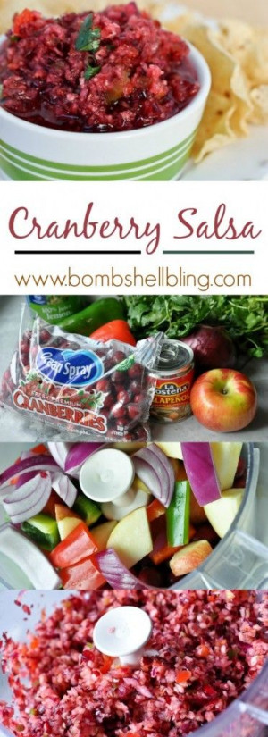 Cranberry Salsa recipe ~~ so easy and so UNIQUE!Gather up your ...