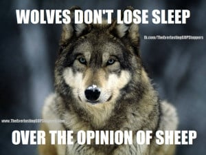 Wolf and Sheep Quotes