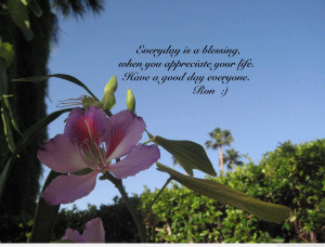 Good Day Picture Quotes Good day quotes