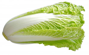 Chinese Cabbage