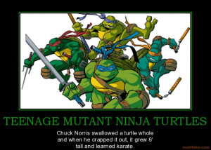 teenage-mutant-ninja-turtles-tmnt-chuck-norris-demotivational-poster ...