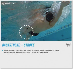 Speedo Backstroke Stroke technique - advice from our swimming experts ...