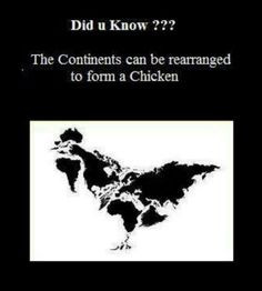 It's a sign that everyone should have backyard chickens! More