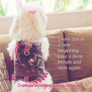 ... the beginnings of western science the european scientific tradition