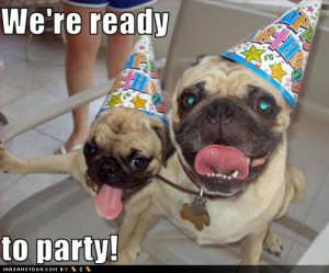 funny-dog-pictures-ready-party