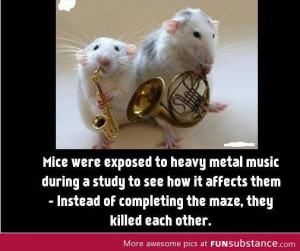 Heavy metal music is bad for mice