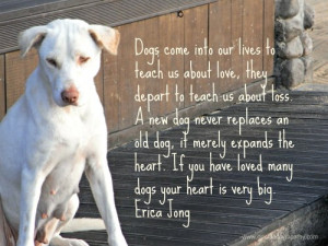 old dog it merely expands the heart if you have loved many dogs your ...
