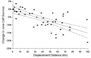 caribou herd, 1985-2001, as a function of distance of displacement ...