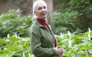 jane-goodall-earth-day-quotes