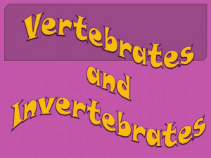 Vertebrates and Invertebrates PowerPoint
