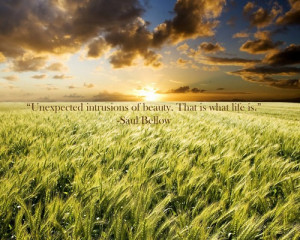 Unexpected intrusions of beauty. That is what life is.