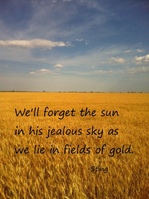 Texas wheat field of gold, gold, wheat, fields, sunshine, blue skies ...