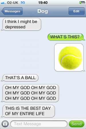 Text From Dog ” is an excellent set of fake text messages exchanged ...