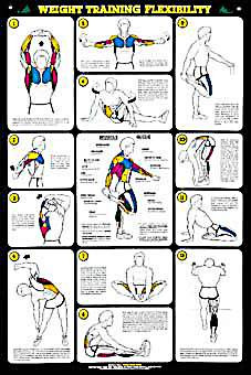 Weight Lifting Exercisesbody Building Charts Weight Exercise Training ...