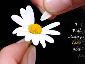 By: leo Category: Love Resolution: 1440x900 Views: 3,623