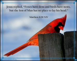 Word To All Daily Verse https://www.facebook.com/wordtoall.org