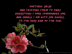 Bible Verse Wallpaper - Matthew 28:20