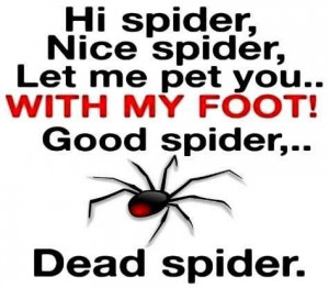 Spider Humor
