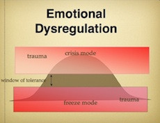 nervous system that is not regulated 1 (i.e. a dysregulated nervous ...
