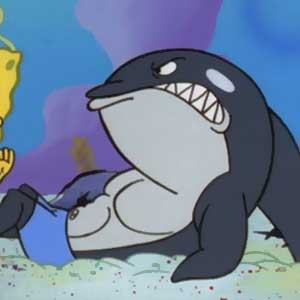 name don the whale occupation body builder about don is one of the ...