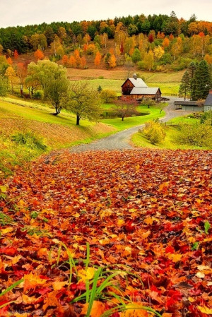 Autumn countryside