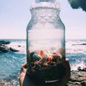 ... beach sand waves ocean sea wave SHELLS jar summer vibes seashells