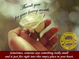 flower-thank_thank-you_thank-you-photo_thank-you-card_thanks_quotes ...