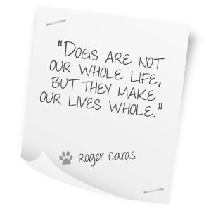 vet quotes - Google Search