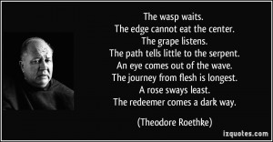 The wasp waits. The edge cannot eat the center. The grape listens. The ...