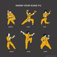 Kung Fu, Tai Chi, etc.